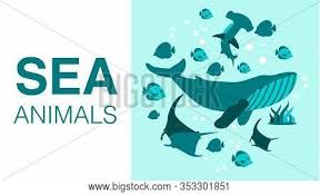 This is probably the biggest threat to manta rays. Sea Animals Vector Photo Free Trial Bigstock