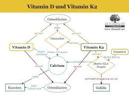 Vitamin D Und Vitamin K Dr Schweikart Verlag
