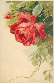 Vintage Images Flower Art Catherine Klein Rose Art