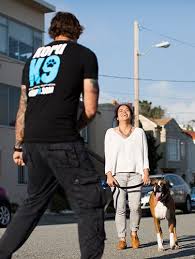 Boot camps exclusively we believe in offering the best possible boot camp on the planet; Dog Obedience Training San Francisco Dog Clicker Training Dog Training Near Me Dog Training Obedience