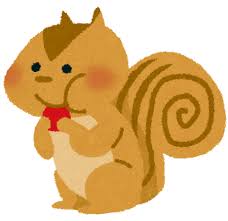 シマリスのイラスト（動物） | かわいいフリー素材集 いらすとや