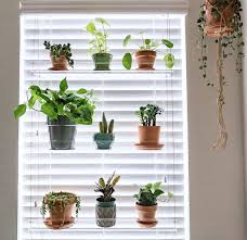 Give your plants their own home indoors with a plant stand from walmart.ca. Window Plant Shelf Hanging Shelf Plant Shelves Plant Etsy