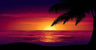 Coucher De Soleil Ciel Colore En Mer Avec Un Palmier Photos Coucher De Soleil Plage Coucher De Soleil Coucher De Soleil Mer