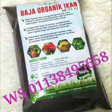 Arang sekam dibuat dari pembakaran tak sempurna atau pembakaran parsial sekam padi. Baja Organik Ikan Boi Shopee Malaysia
