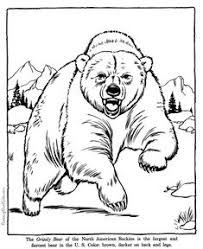 Part of a plant from which a. 28 Yellowstone Kids Activity Book Ideas Yellowstone Kids Activity Books Yellowstone Trip