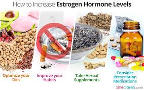 How To Increase Estrogen Hormone Levels | Shecares