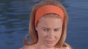 Flipper And The Elephant