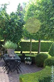 Buchsbaum Umrandung Terrasse Schattengarten Garten Terrasse Garten
