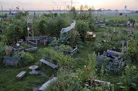 Urban Gardening Kolonie Der Wucherkisten Kreative Garten Ideen Gartendesign Ideen Und Gartenprojekte
