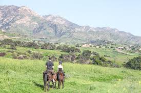 Maybe you would like to learn more about one of these? San Marcos Preserve Land Management Plan Finalized The Santa Barbara Independent