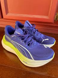 Image result for Puma 40