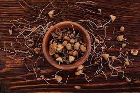 3 Types Of Magic Mushrooms How Magic Mushrooms Work