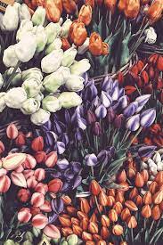 Check spelling or type a new query. 50 Gorgeous Flower Aesthetic Wallpaper For Your Iphone Prada Pearls