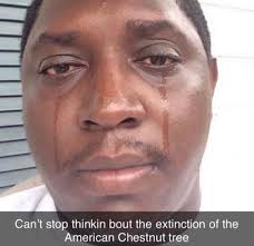 bella leggett ♕ (@bellaleggett)