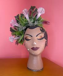 Venus Fly Trap Accessories