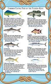 Over 90 different species of saltwater fish are shown here. Lunch Menu For Fish House Key Largo Florida Keys Florida Fish Florida Keys Florida Keys Road Trip