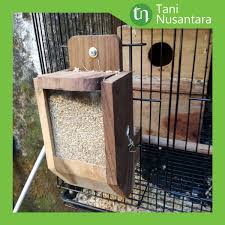 Sangkar dapat diberi tangkringan dari kayu bulat. Panduan Cara Ternak Lovebird Untuk Pemula Bukareview