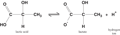 Lactic Acid Hc3h5o3 Has One Acidic Hydrogen A 0 10 M