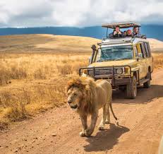 5 day tanzania wildlife adventures. 6 Days Shared Safari Tanzania Serengeti And Ngorongoro Crater
