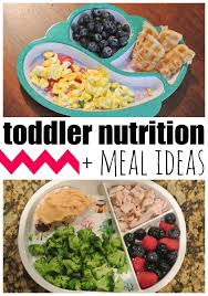 Toddler Nutrition And Meal Ideas Giveaway Toddler Nutrition Baby Food Recipes Toddler Eating