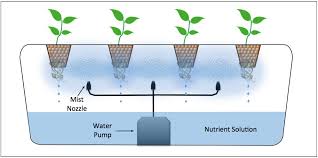 I built my old aeroponic system drains with 1/2″ tubing and fittings and had a few clogs so this time i am using 3/4″ drains. Aeroponics Art Of Growing Plants Without Soil Readitmore