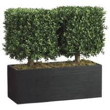 You can also look for plants that have been refurbished by either the vendor or the manufacturer. 20 Best Artificial Outdoor Plants Ideas Outdoor Plants Plants Artificial Plants Outdoor