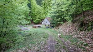 Mit sitz in detmold ist im vereinsregister mit der rechtsform verein eingetragen. Trailrunning In Detmold Die Schonsten Laufstrecken Und Trails