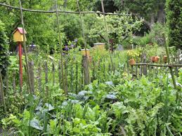 Check spelling or type a new query. Der Cottage Garten Romantik Im Grunen Gartenflora