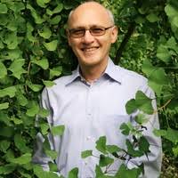 Image result for Pauridiantha paucinervis