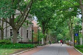 Doyle (a professor), may 30, 1976; Penn President Amy Gutmann Tipped As Next Us Envoy To Germany Times Higher Education The