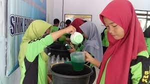 Ujian praktek kewirausahaan smk kelas 12. Ujian Pkk Produk Kreatifitas Kewirausahaan Smk Pancasila 2 Kutoarjo