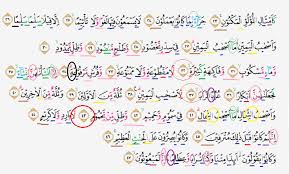 Surah waqiah is 56th surah of the holy quran which was revealed on prophet muhammad (pbuh) in mecca that's why it's called makkia surah. Surah Al Waqiah Rumi Latin Surat Al Waqiah Arab Latin Dan Terjemahan Indonesia