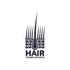 The hair bulb grows around a bud of vascular connective tissue called the dermal papilla which provides the hair with its sole source of nutrition. Vector Hair Follicle In Hair Bulb Icon Stock Vector Illustration Of Brand Black 101277653