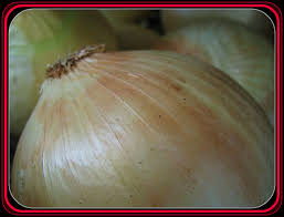 By audrey bruno like a lot of coo. How To Make Your Own Dehydrated Onions Mom Prepares