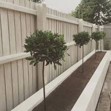 Ideas Of Modern Garden Fence Designs For Summer Ideas Frugal Living Small Garden Design Modern Garden Design Backyard Garden Design
