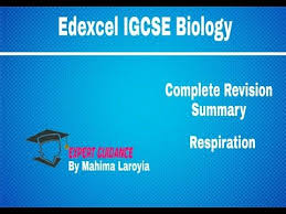 Respiration Edexcel Igcse Biology Complete Revision Summary Youtube In 2020 Igcse Biology Edexcel Igcse Biology Biology Revision