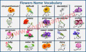 Pin On Books Free Download Pdf