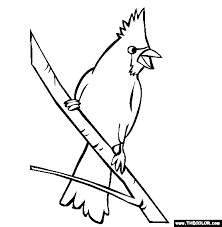 There are tons of great resources for free printable color pages online. Bird Online Coloring Pages