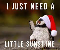 Discover more posts about sunshine meme. Cute Good Morning Sunshine Meme Best Collection