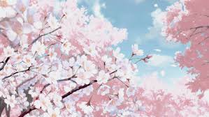Below are 10 new and most current hd wallpapers cherry blossom for desktop with full hd 1080p (1920 × 1080). Cherry Blossoms Aesthetic Desktop Wallpapers Page 1 Line 17qq Com