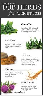 Pin On Health