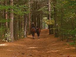 Parc Nature Les Forestiers De Saint Lazare Tourisme Monteregie