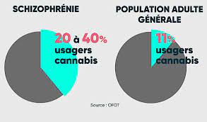 Les amis et parents sont souvent les premiers à les relever. Le Cannabis Peut Il Declencher Une Schizophrenie