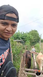 Dulce de Panela en Mercedes La Ceiba: Tradición y Empleo