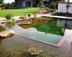 Pin Von Ryan Hamby Auf My Future Home Gartenpools Aussenpool Naturschwimmbecken