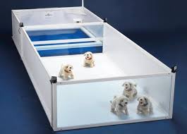 New Concept For Whelping Boxes Whelping Box Dog Whelping Box Whelping Puppies