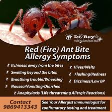 Image result for ant bite