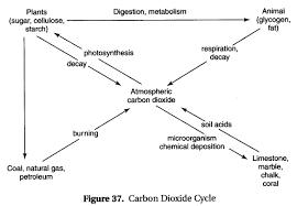 Pin On Sat Chemistry Subject Tests