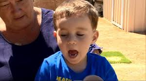 COURAGEOUS KOBI, The family of a little boy who came close to having his  leg amputated, have been told he will have to have more surgery later this  year in America., 3 year old Kobi John Rumble was ...