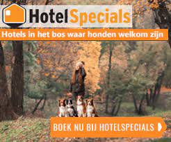 Leukste Hotels Met Hond Tips Boeken Hotel Met Hond